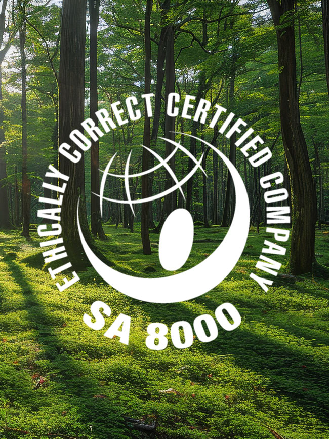banner_logos_sa8000 banner_logos_sa8000