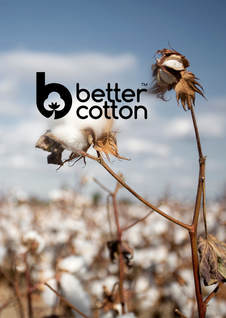 card-hp-sustainability card-hp-sustainability