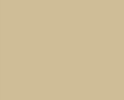 Sand/Beige